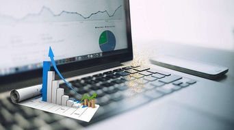 綠專資本助泰鵬環(huán)保啟動(dòng)上市輔導(dǎo)，網(wǎng)絡(luò)技術(shù)開發(fā)能否扭轉(zhuǎn)利潤(rùn)下滑局面？